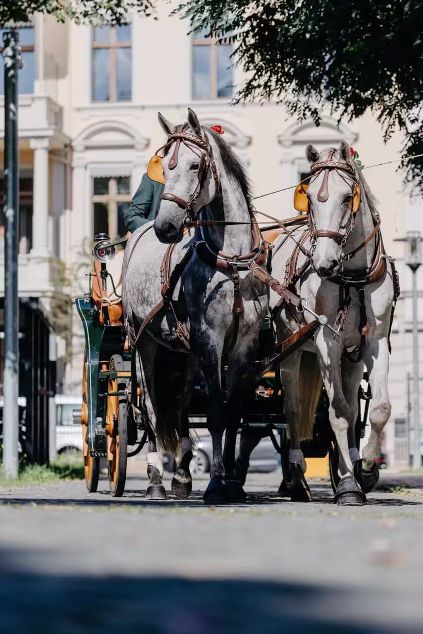 21 - LotteMarvin25_592